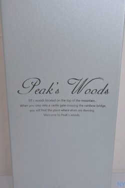 画像7: PEAKS WOODS/FOB Vampire Little Yeru A-23-09-27-357-NY-ZA