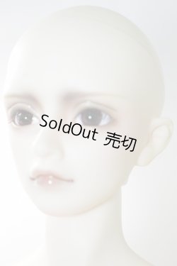 画像4: SDGrB/F-36フルチョイス U-24-02-07-213-NY-ZU