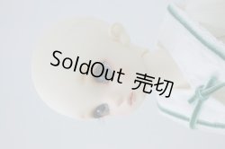 画像3: SDMGIRL/コーディネートモデル-F-60 U-23-10-25-096-KN-ZU