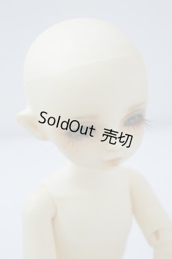 画像5: 幼SD/コリン U-23-11-8-202-TN-ZU