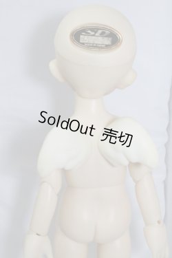 画像8: 幼天使/八代 U-24-04-10-209-TN-ZU