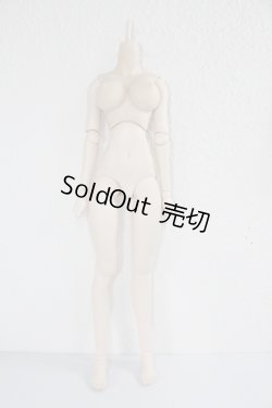 画像1: DDS/ベースボディ A-23-12-20-1001-NY-ZU