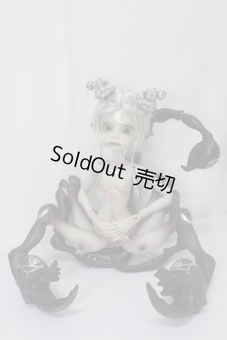 画像1: Doll Chateau/Pluto：Grey Skin/ A-25-02-12-325-NY-ZA