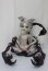 画像1: Doll Chateau/Pluto：Grey Skin/ A-25-02-12-325-NY-ZA (1)