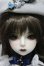 画像1: Gem of Doll/Sapphira A-24-01-24-153-NY-ZA (1)