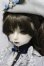 画像3: Gem of Doll/Sapphira A-24-01-24-153-NY-ZA