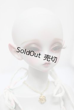 画像5: PEAKS WOODS/FOB:V.R Lady Bee-"Misty Woods " A-23-11-29-306-NY-ZA