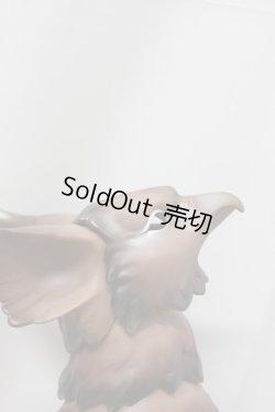 画像3: Dream Valley/Break of the Day-Dawn ＊コーヒースキン A-23-11-29-323-NY-ZA