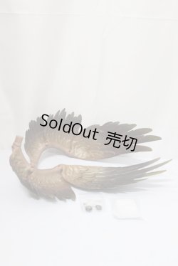 画像5: Dream Valley/Break of the Day-Dawn ＊コーヒースキン A-23-11-29-323-NY-ZA