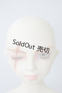 ＳＤ13Ｂ/セシル　ザ・スカーフェイス ヘッドのみ U-24-01-31-211-NY-ZU