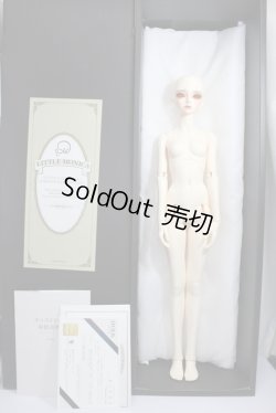 画像6: LITTLE MONICA/Roselyn:Symphony Girl A-23-12-13-143-KN-ZA