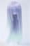 画像1: 5.5inchウィッグ Y-25-02-05-047-NY-ZY (1)