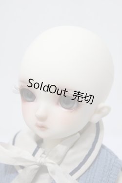 画像3: SDM/コーディネートモデル:F-60 A-24-01-24-149-KN-ZA