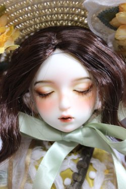 画像1: Gem of doll/Sunflower Sunny ,Vincent's Flower Fullset + Body Blush A-24-01-24-230-KN-ZA