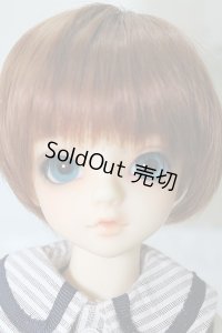 SDMBOY/コーディネートモデル F-31ヘッド U-24-02-14-211-KN-ZU