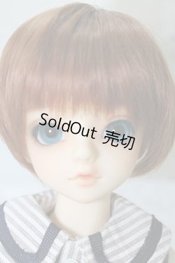 画像1: SDMBOY/コーディネートモデル F-31ヘッド U-24-02-14-211-KN-ZU