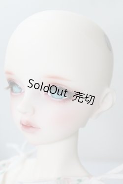 画像3: SDGrG/F-90:フルチョイス U-24-02-14-218-NY-ZU