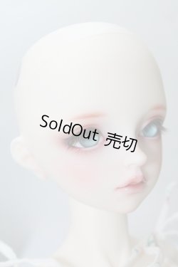 画像4: SDGrG/F-90:フルチョイス U-24-02-14-218-NY-ZU