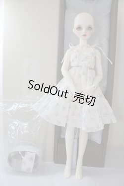 画像6: SDGrG/F-90:フルチョイス U-24-02-14-218-NY-ZU