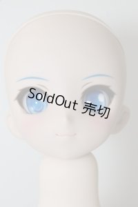 ＭDD/チルノヘッドのみ A-24-02-14-1057-NY-ZU