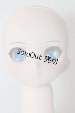 画像1: ＭDD/チルノヘッドのみ A-24-02-14-1057-NY-ZU
