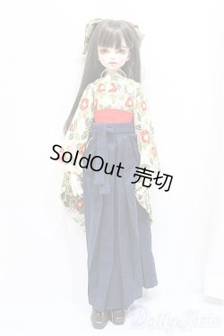 画像6: Myou Doll/Zuzana -文学少女- Literature A-24-09-04-300-NY-ZA