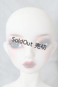 SD13G/F-62：オーダーメイク U-24-02-21-219-NY-ZU