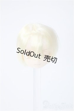 画像1: 1/6 /サイズ/カスタムヘッド Y-25-01-08-021-TN-ZY