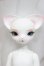 画像8: DEAR MINE/DANNA H. ~Cozy~ A-24-04-03-323-NY-ZA
