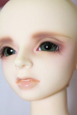 画像6: SDB/ミシェル：夏の夜の幻 U-25-04-08-218-NY-ZU