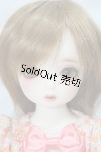 SDMGIRL/コーディネイトモデルF-56 A-24-03-06-243-KN-ZA