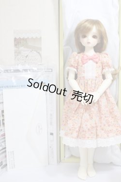 画像6: SDMGIRL/コーディネイトモデルF-56 A-24-03-06-243-KN-ZA