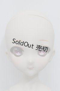 MDDF3ボディ/DDH-10彩色ヘッド A-24-03-27-172-NY-ZA