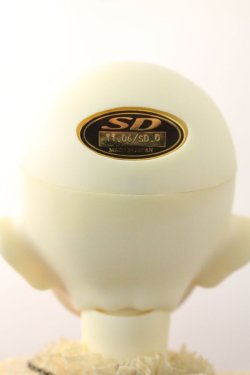 画像6: SDGr少女/Alice(アリス) U-24-03-27-220-NY-ZU