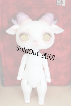 画像4: dearmine/Fluorite LORENZ bean A-24-03-13-273-NY-ZA