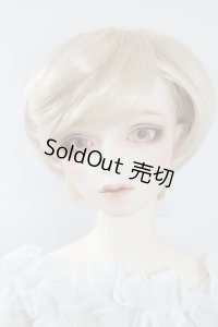 SDGｒB/F-88　フルチョイス U-24-04-03-216-NY-ZU