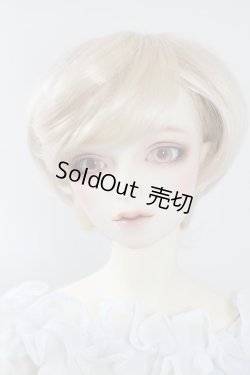 画像1: SDGｒB/F-88　フルチョイス U-24-04-03-216-NY-ZU