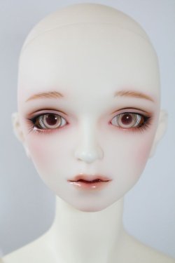 画像5: SDGrB/F-88 フルチョイス U-24-04-03-216-NY-ZU