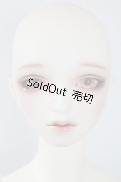 画像5: SDGｒB/F-88　フルチョイス U-24-04-03-216-NY-ZU