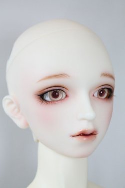 画像6: SDGrB/F-88 フルチョイス U-24-04-03-216-NY-ZU