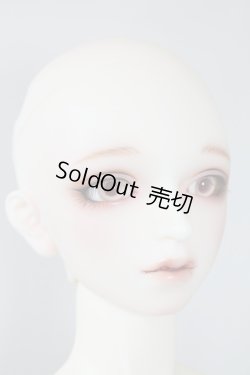 画像6: SDGｒB/F-88　フルチョイス U-24-04-03-216-NY-ZU