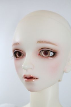 画像7: SDGrB/F-88 フルチョイス U-24-04-03-216-NY-ZU