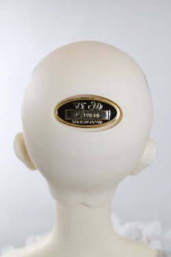 画像8: SDGrB/F-88 フルチョイス U-24-04-03-216-NY-ZU