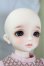 画像6: SDM女の子/コーディネートモデルF-50 U-24-05-01-213-NY-ZU