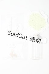 ドール用小物5点セット U-24-05-08-044-KD-ZU