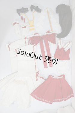 画像7: DDS/博麗霊夢　東方Project A-24-04-17-299-NY-ZA