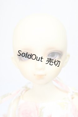 画像2: MSD女の子/フルチョイス：F-19/BJD　球体関節人形 A-25-02-12-330-KD-ZA