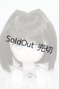 MDD /こうめ　スタンダードモデル A-24-05-08-197-NY-ZA