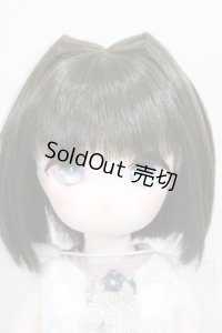 MDD /こうめ　スタンダードモデル A-24-05-08-197-NY-ZA