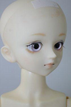 画像3: MSD/健 U-24-05-21-209-NY-ZU